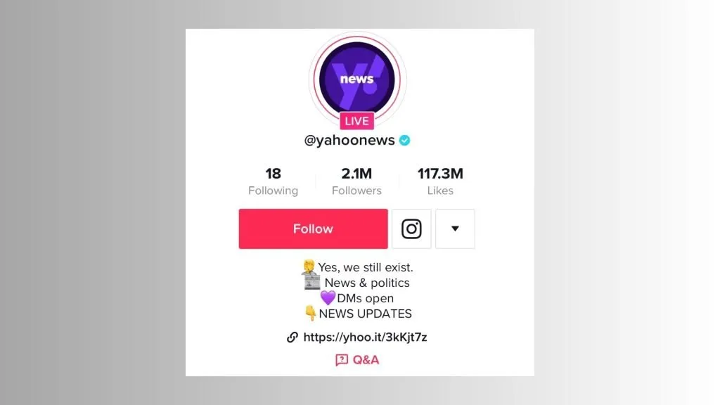 tiktok bio ideas