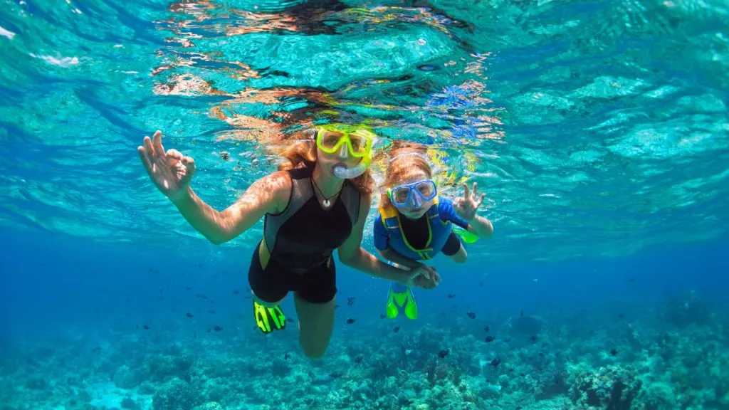 Best Sunshine Coast Beaches for Snorkelling