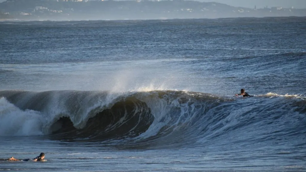 Best Sunshine Coast Beaches for Surfing