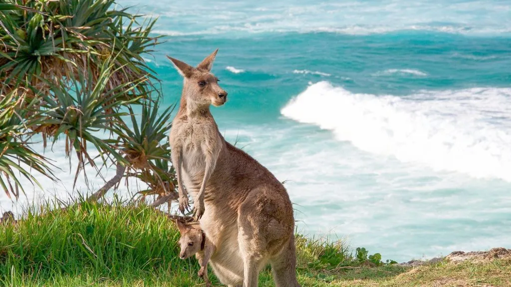 places to visit in kangaroo island