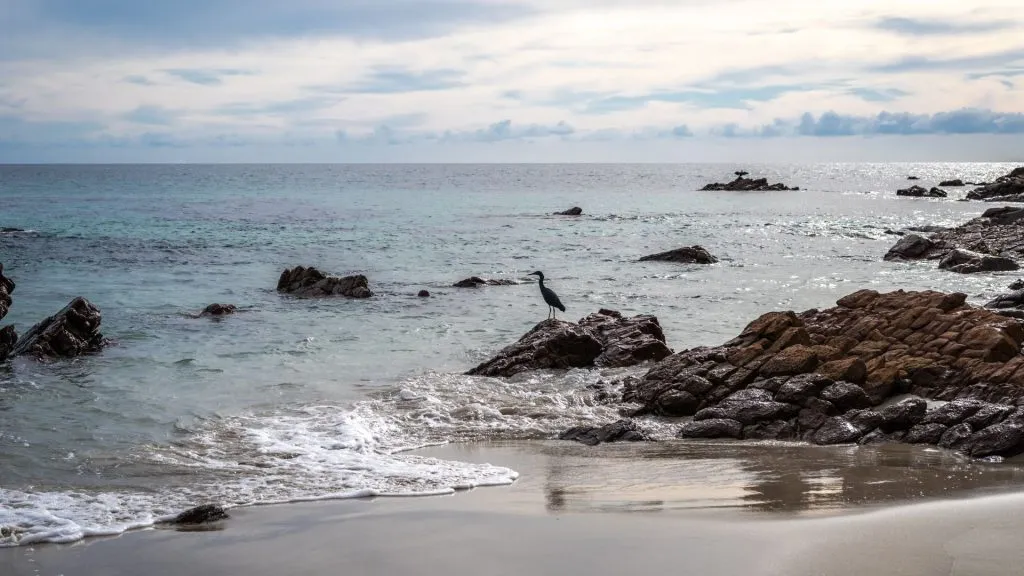 Kangaroo Island has so many beaches,