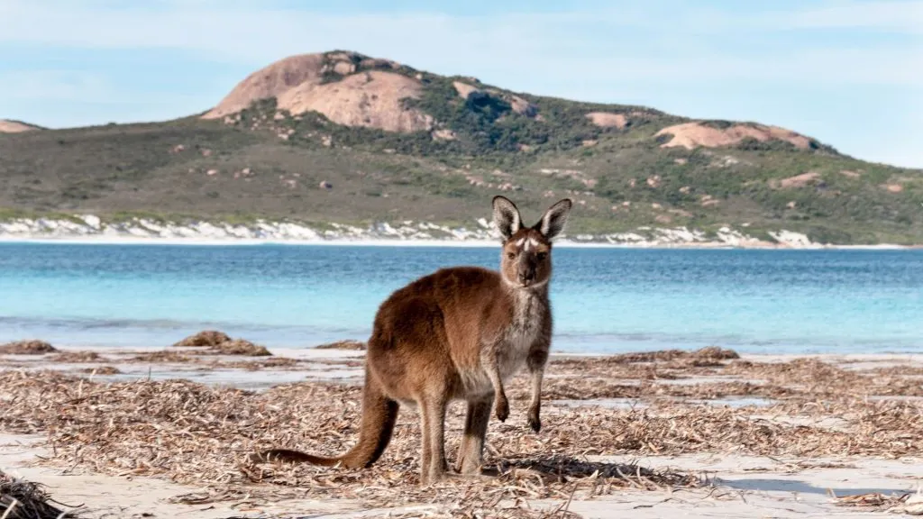 Best time to visit for weather & wildlife