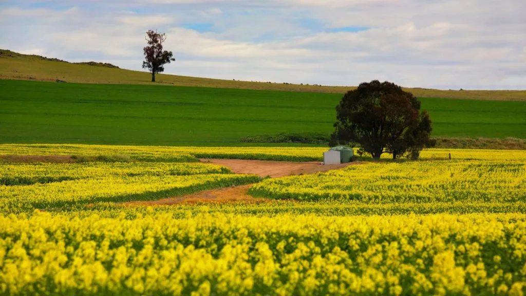 best time to visit australia