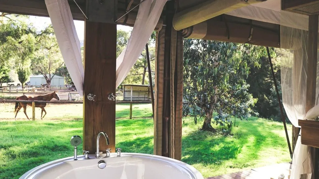 dog friendly christmas getaways