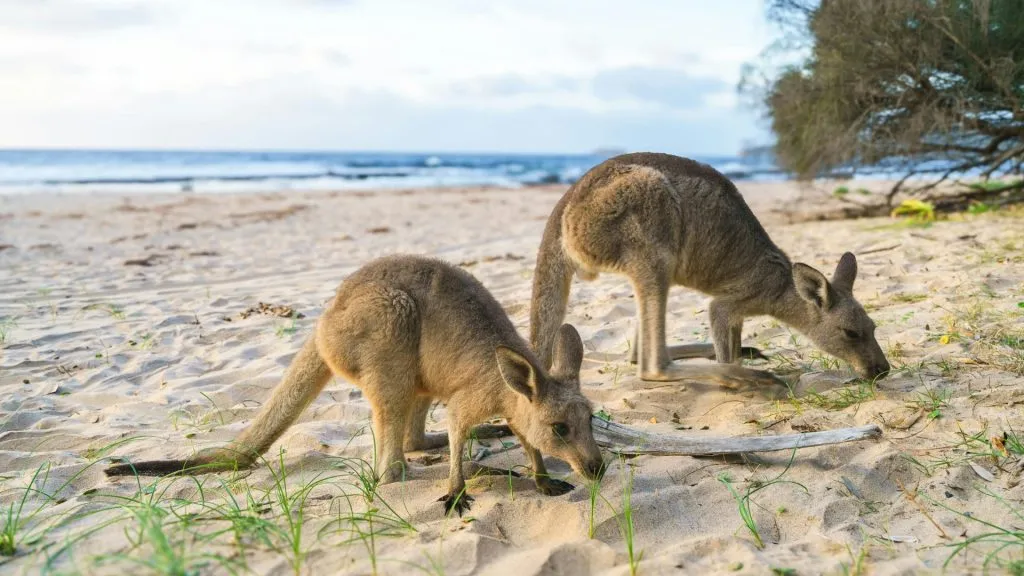 Less Crowded Destinations in Australia