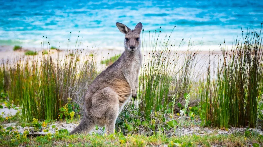 Best travel destinations in Australia