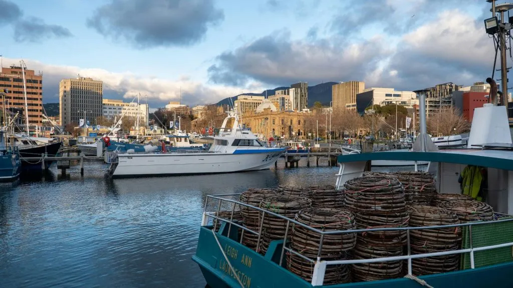 Best Time to Visit Tasmania with Family