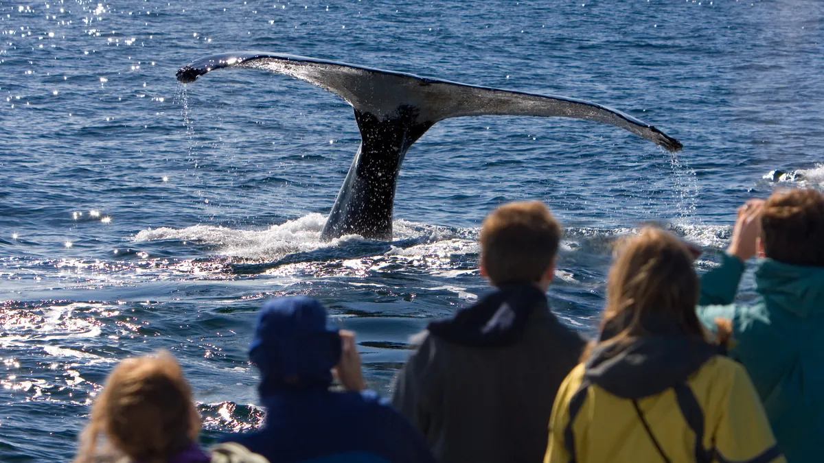 Sydney activities this weekend